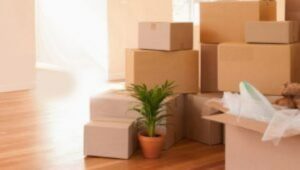 Packers and Movers Hinjewadi
