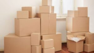 Packers and Movers Kiwale