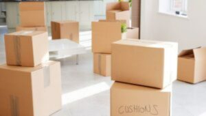 Packers and Movers Mukai Chowk
