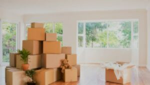 Packers and Movers Nanded City