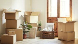 Packers and Movers Rahatani