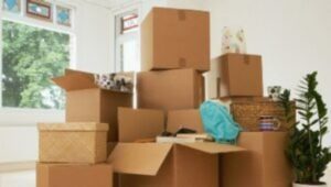 Packers and Movers Rajgurunagar