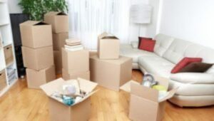 packers and movers Sasane Nagar