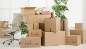 Packers and Movers Spine Road