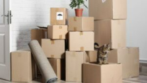 Packers and Movers Tingre Nagar