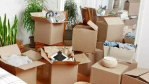 Packers and Movers Undri